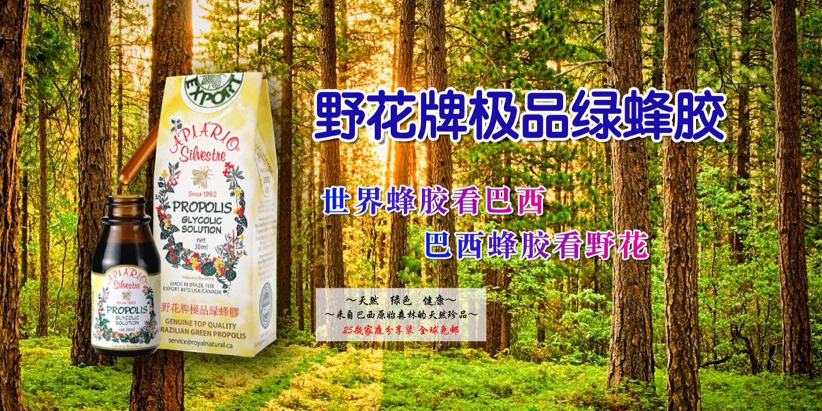 绿蜂胶对糖尿病的作用机理和功效 - 野花牌绿蜂胶健康文章配图