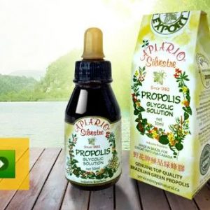 蜂胶品质鱼龙混杂，怎样挑选好的蜂胶 - 野花牌绿蜂胶健康文章配图